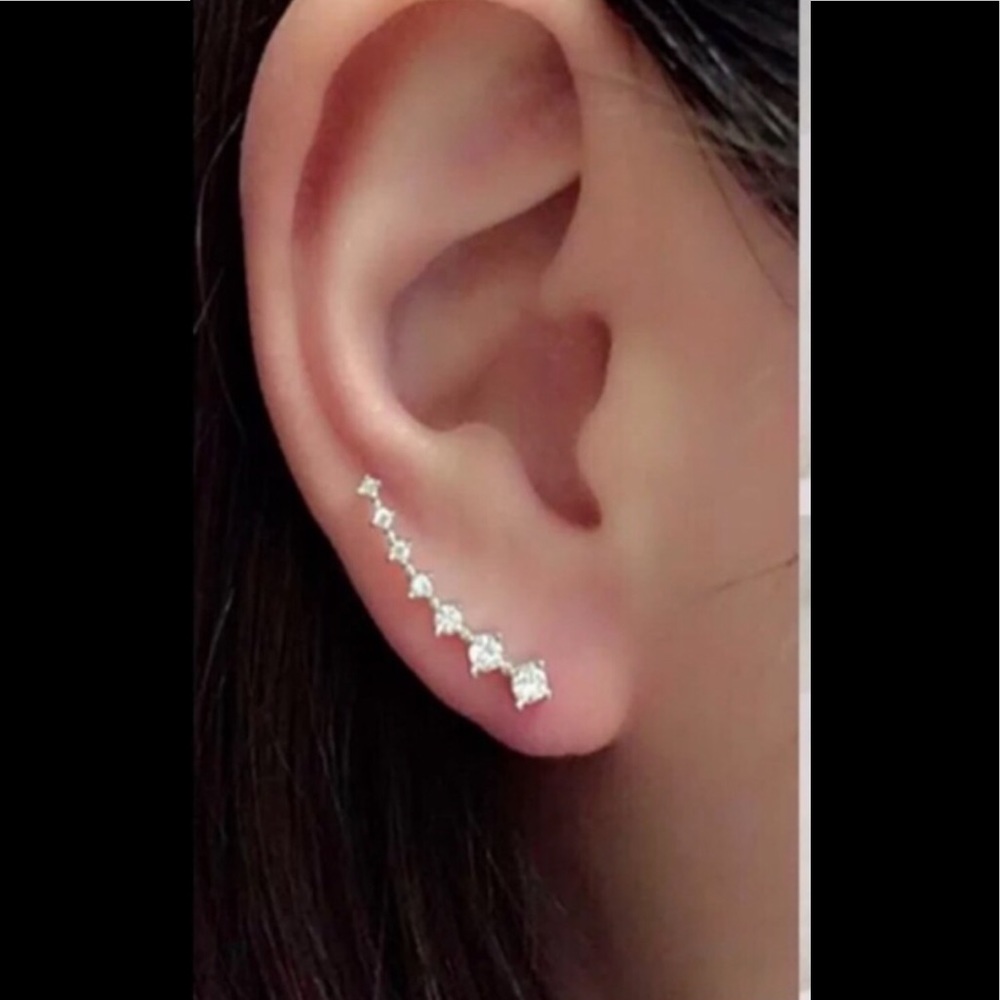 Stunning Crawler Silver Earrings